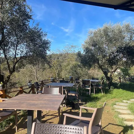 Bujtina Topi -wooden Among Olive Grooves Bed & Breakfast