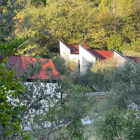 Bujtina Topi -wooden Among Olive Grooves Bed & Breakfast *